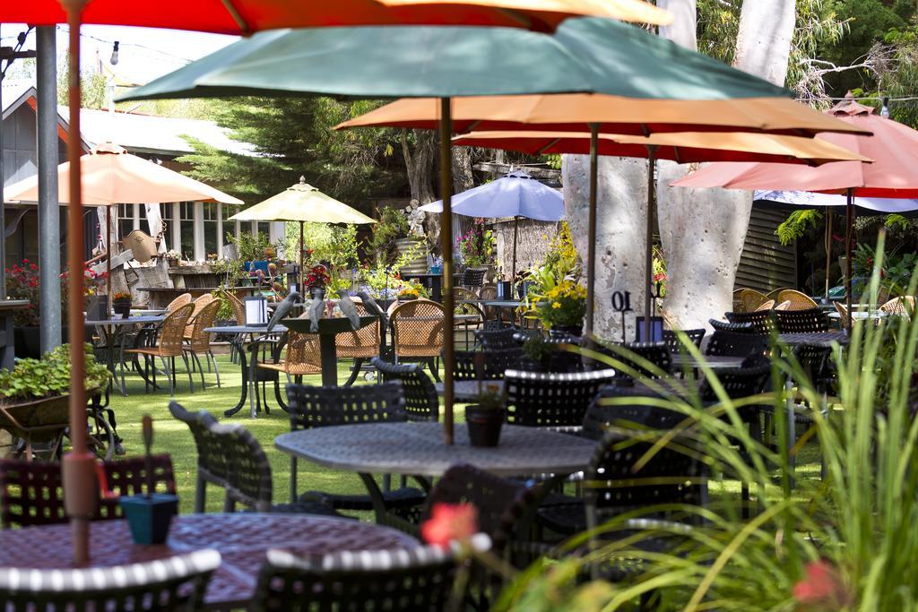 Oakdene Vineyards Guesthouse Wallington Exterior photo